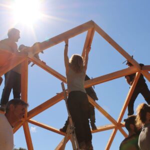 Domestaing2